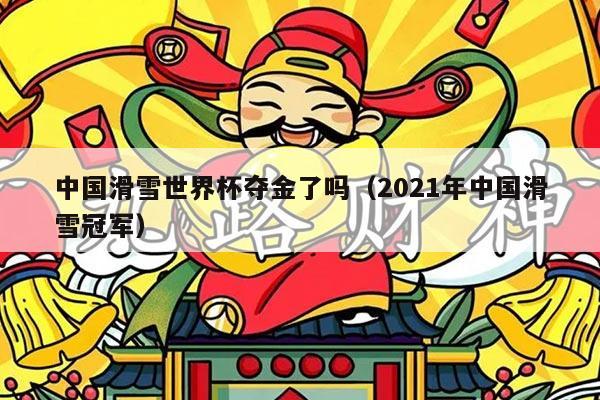 中国滑雪世界杯夺金了吗(2021年中国滑雪冠军)