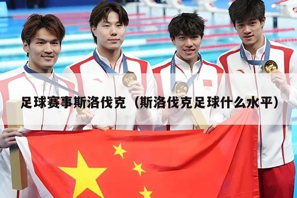 足球赛事斯洛伐克(斯洛伐克足球什么水平)