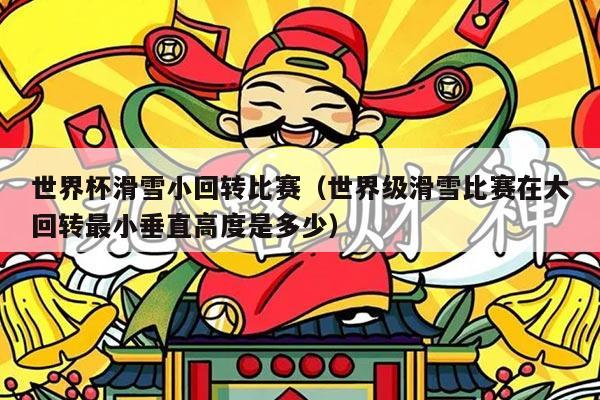 世界杯滑雪小回转比赛(世界级滑雪比赛在大回转最小垂直高度是多少)