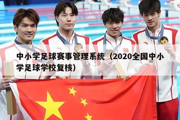 中小学足球赛事管理系统(2020全国中小学足球学校复核)
