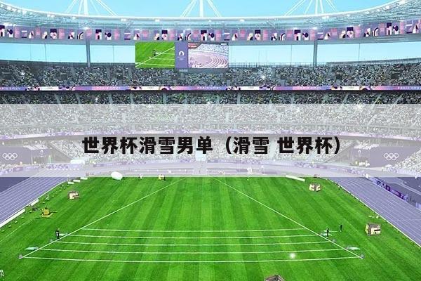 世界杯滑雪男单(滑雪 世界杯)