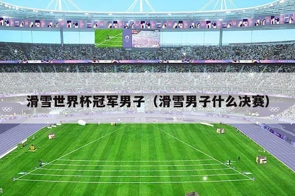 滑雪世界杯冠军男子(滑雪男子什么决赛)