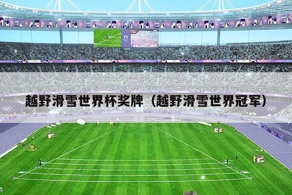 越野滑雪世界杯奖牌(越野滑雪世界冠军)