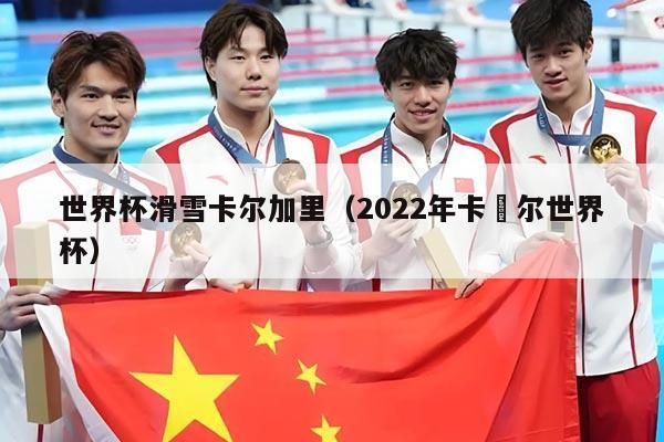 世界杯滑雪卡尔加里(2022年卡撘尔世界杯)