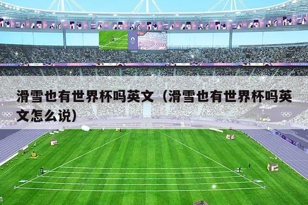 滑雪也有世界杯吗英文(滑雪也有世界杯吗英文怎么说)