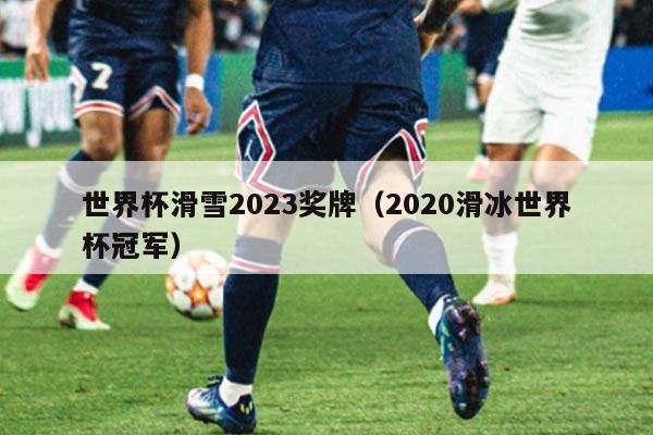 世界杯滑雪2023奖牌(2020滑冰世界杯冠军)