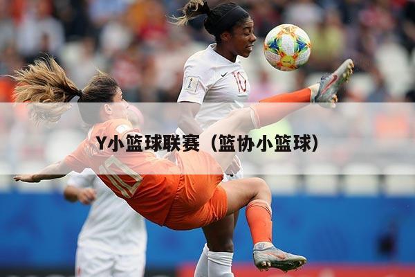 Y小篮球联赛(篮协小篮球)