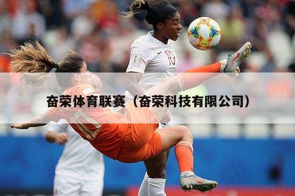 奋荣体育联赛(奋荣科技有限公司)