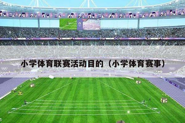 小学体育联赛活动目的(小学体育赛事)