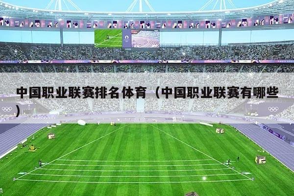 中国职业联赛排名体育(中国职业联赛有哪些)
