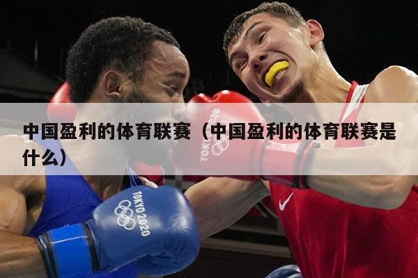 中国盈利的体育联赛(中国盈利的体育联赛是什么)