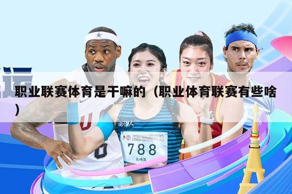 职业联赛体育是干嘛的(职业体育联赛有些啥)
