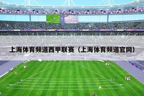上海体育频道西甲联赛(上海体育频道官网)