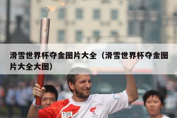 滑雪世界杯夺金图片大全(滑雪世界杯夺金图片大全大图)