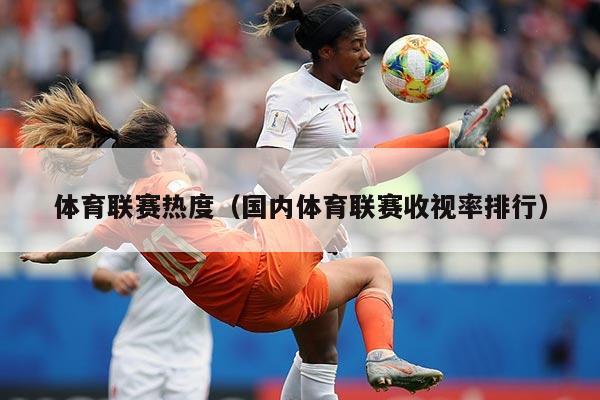 体育联赛热度(国内体育联赛收视率排行)