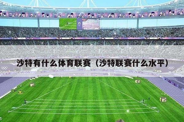 沙特有什么体育联赛(沙特联赛什么水平)