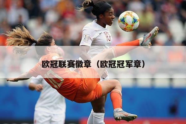 欧冠联赛徽章(欧冠冠军章)