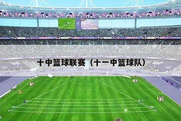 十中篮球联赛(十一中篮球队)