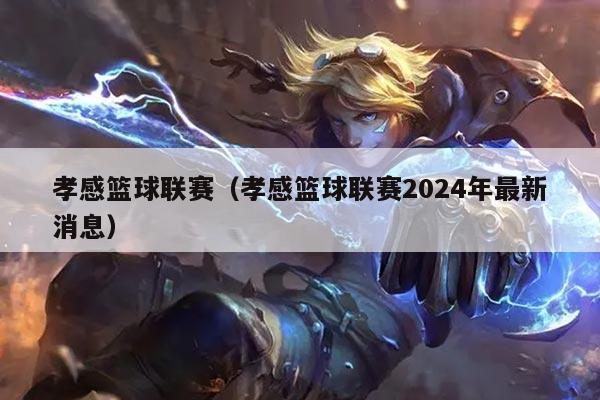 孝感篮球联赛(孝感篮球联赛2024年最新消息)