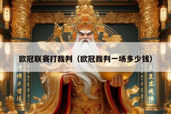欧冠联赛打裁判(欧冠裁判一场多少钱)