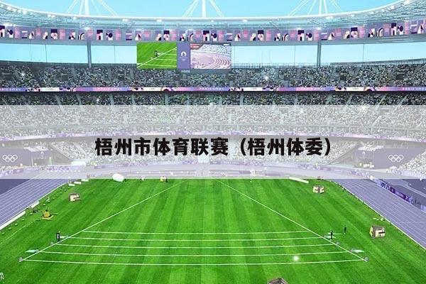 梧州市体育联赛(梧州体委)