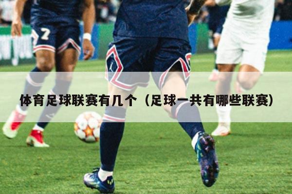 体育足球联赛有几个(足球一共有哪些联赛)
