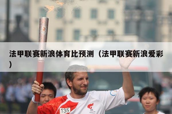 法甲联赛新浪体育比预测(法甲联赛新浪爱彩)