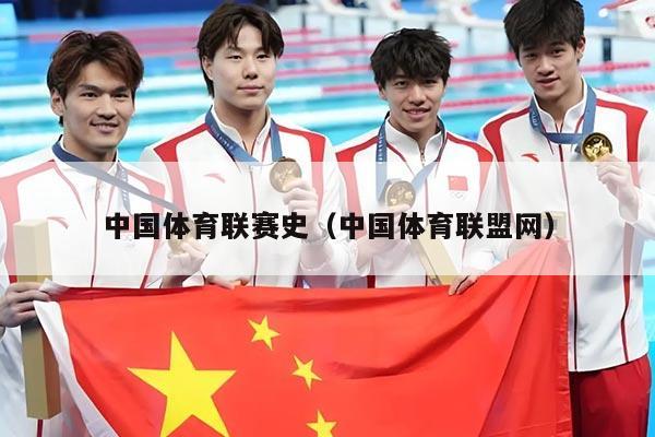中国体育联赛史(中国体育联盟网)