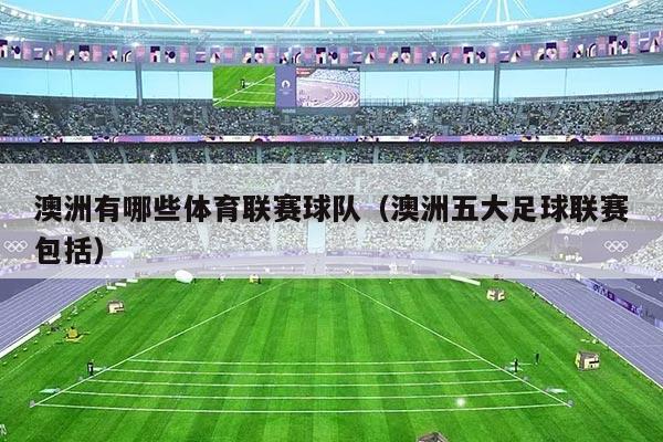 澳洲有哪些体育联赛球队(澳洲五大足球联赛包括)