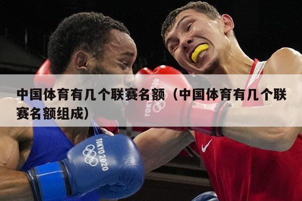 中国体育有几个联赛名额(中国体育有几个联赛名额组成)