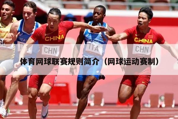 体育网球联赛规则简介(网球运动赛制)