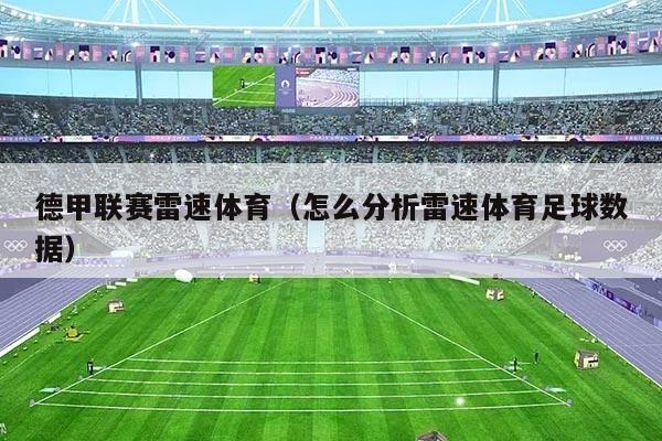 德甲联赛雷速体育(怎么分析雷速体育足球数据)