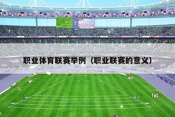职业体育联赛举例(职业联赛的意义)