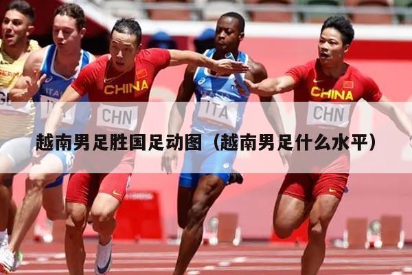 越南男足胜国足动图(越南男足什么水平)