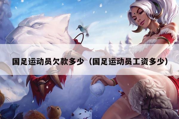 国足运动员欠款多少（国足运动员工资多少）