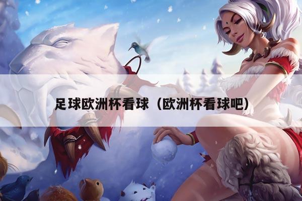 足球欧洲杯看球（欧洲杯看球吧）