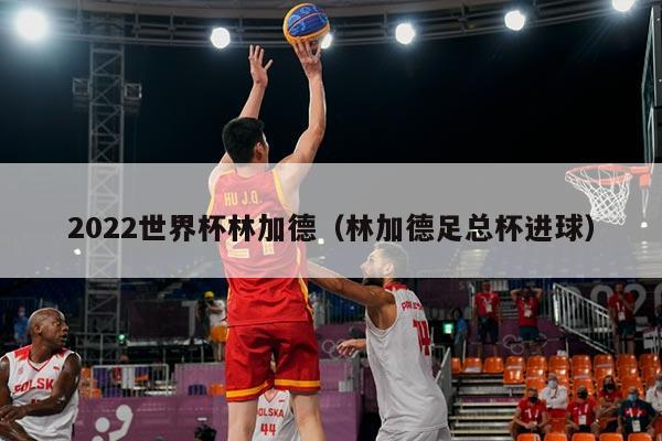 详细阅读:2022世界杯林加德(林加德足总杯进球) 2022世界杯林加德(林加德足总杯进球)